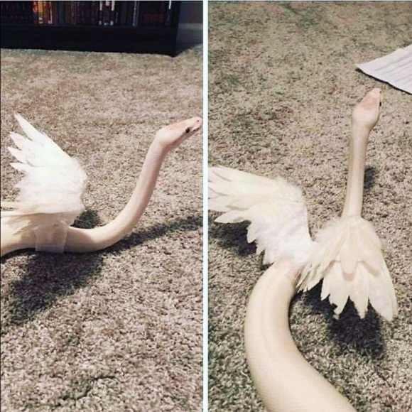 Meet your Posher, Sara - Picture 1 of 3